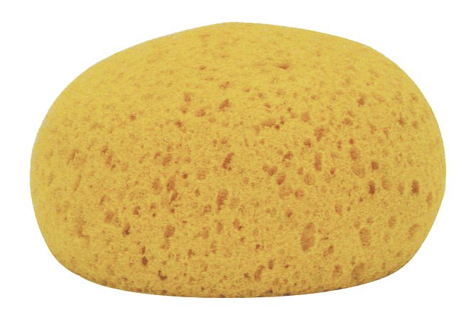 Decker Tack Sponges, 12pk - Jeffers - Horse Supplies > Horse Supplies