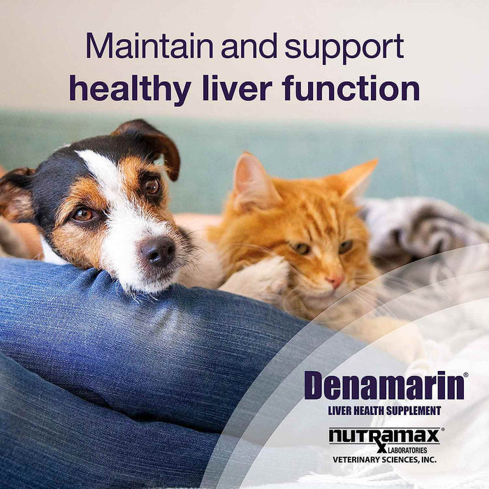 Denamarin Liver Health Tablets - Jeffers - Animal Health & Wellness > Vitamins & Supplements