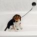 Dog Stay 'n Wash Grooming Noose - Jeffers - Animal & Pet Supplies > Pet Grooming