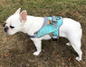 Doggy Tales Patented Realtree Hart Harness, Sea Glass - Jeffers - Dog Supplies > Dog Apparel > Dog Collars, Harnesses, & Leashes