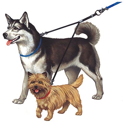 Double Dog Leash & Coupler - Jeffers - Dog Supplies > Dog Apparel > Dog Collars, Harnesses, & Leashes