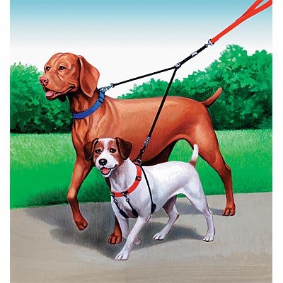 Double Dog Leash & Coupler - Jeffers - Dog Supplies > Dog Apparel > Dog Collars, Harnesses, & Leashes