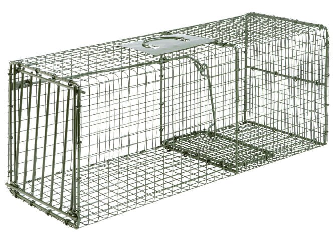 Duke Cage Traps Humane Live Animal Catch Cage - Jeffers - Farm & Ranch Supplies > Pest Control