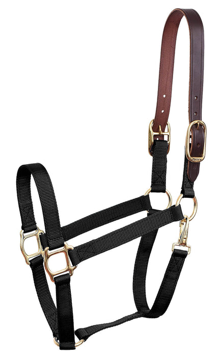 Economy Nylon Safety Horse Halter - Black Mini B 