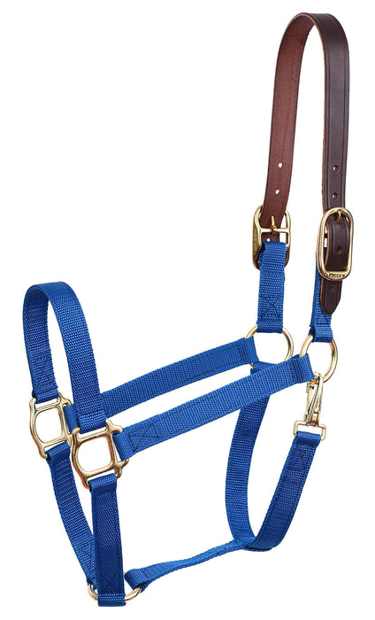 Economy Nylon Safety Horse Halter - Royal Blue Horse 