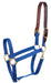 Economy Nylon Safety Horse Halter - Royal Blue Horse 