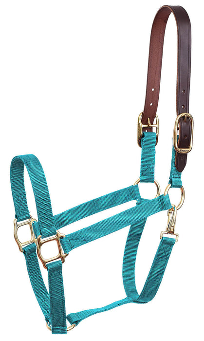 Economy Nylon Safety Horse Halter - Turquoise Pony 