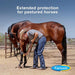 Equi - Spot, 12 week supply - Jeffers - Animal Health & Wellness > Fly & Insect Control