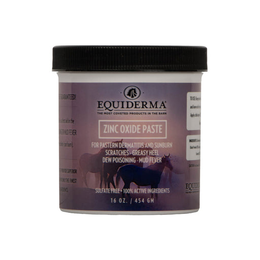 Equiderma Zinc Oxide Paste - Jeffers - Animal Health & Wellness > Skin & Coat Care