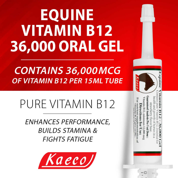 Equine Vitamin B12 Gel, 15 mL (3 dose) tube - Jeffers - Animal Health & Wellness > Vitamins & Supplements