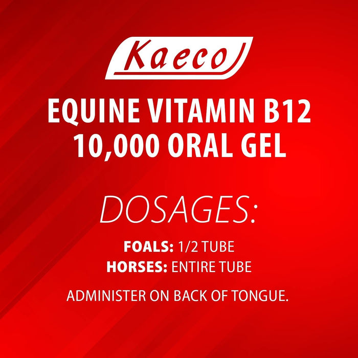 Equine Vitamin B12 Gel, Single Dose - Jeffers - Animal Health & Wellness > Vitamins & Supplements