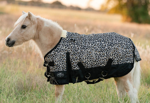 Equisential 600D Standard Neck Mini & Pony Medium Weight Blanket, Cheetah - Jeffers - Horse Supplies > Horse Blankets & Sheets