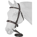 Equitare Cadence Hunter Bridle - Jeffers - Horse Supplies > Horse Tack > Bridles & Headstalls