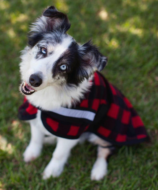 Expression 'Buffalo Check' Fleece Dog Rug - Jeffers - Dog Supplies > Dog Apparel