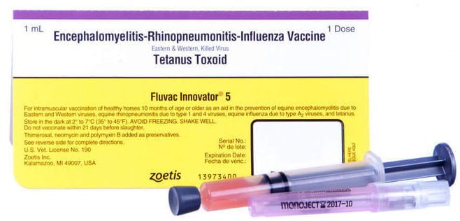 Fluvac Innovator 5 - Jeffers - Animal Health & Wellness > Vaccines