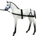 Foal Training Device - Jeffers - Horse Supplies > Horse Supplies