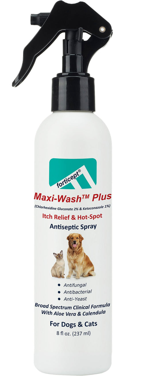 Forticept Maxi - Wash Plus Itch & Hot Spot Spray, 8 oz - Jeffers - Animal Health & Wellness > Medicine