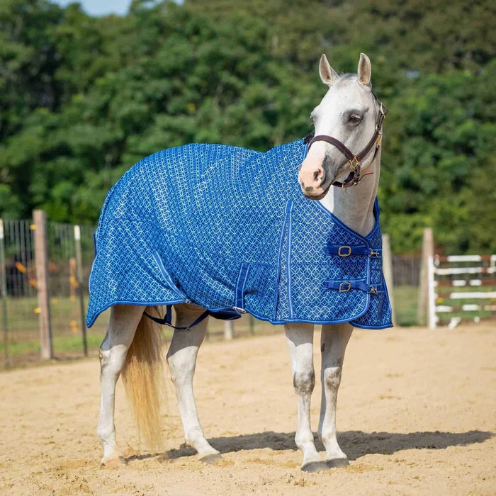 Jeffers Economy Plaid Medium-Weight Horse Turnout Blanket