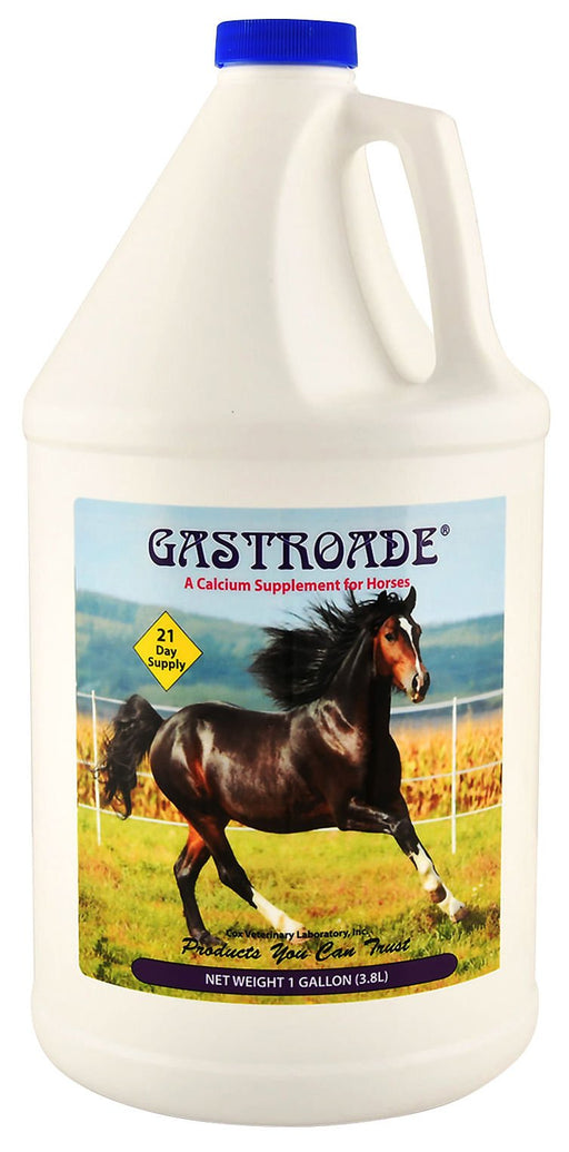 Gastroade Liquid GI Supplement for Horses - Jeffers - Animal Health & Wellness > Vitamins & Supplements