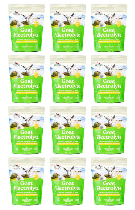 Goat Electrolyte, 16 oz - Jeffers - Animal Health & Wellness > Vitamins & Supplements