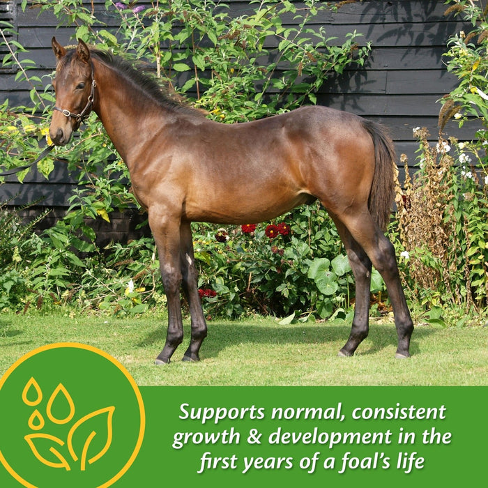 Grow Colt by Farnam - Jeffers - Animal Health & Wellness > Vitamins & Supplements