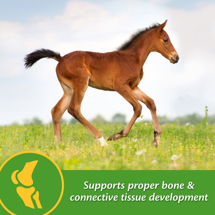 Grow Colt by Farnam - Jeffers - Animal Health & Wellness > Vitamins & Supplements