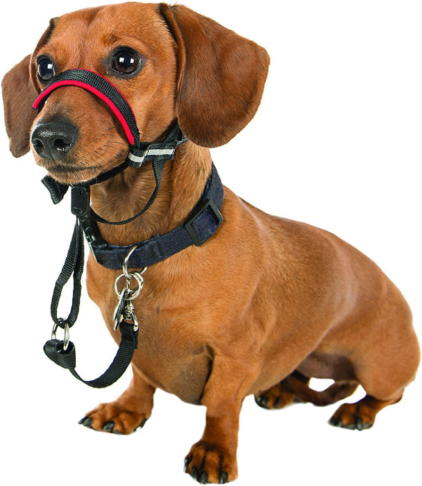 Halti OptiFit Headcollar - Jeffers - Dog Supplies > Dog Apparel > Dog Collars, Harnesses, & Leashes