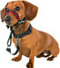 Halti OptiFit Headcollar - Jeffers - Dog Supplies > Dog Apparel > Dog Collars, Harnesses, & Leashes