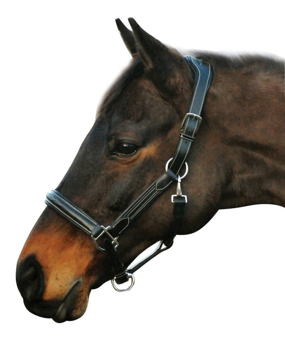 HDR Stress Free Fancy Stitch Leather Halter - Jeffers - Horse Supplies > Horse Tack > Horse Halters