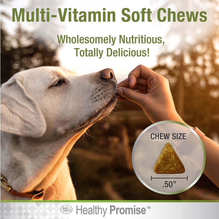 Healthy Promise Dog Multivitamin Soft Chews, Savory Chicken, 120 ct - Jeffers - Animal Health & Wellness > Vitamins & Supplements