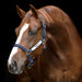 Horseware FieldSafe Halter - Jeffers - Horse Supplies > Horse Tack > Horse Halters