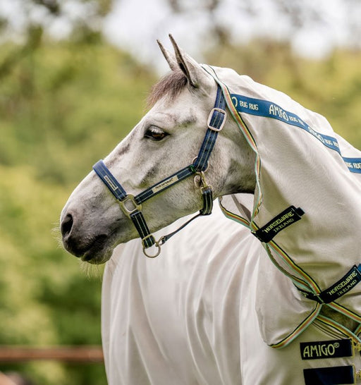 Horseware FieldSafe Halter - Jeffers - Horse Supplies > Horse Tack > Horse Halters