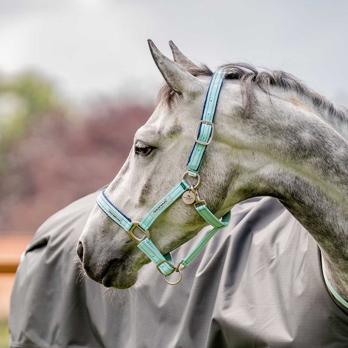 Horseware FieldSafe Halter - Jeffers - Horse Supplies > Horse Tack > Horse Halters