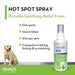 Hot Spot Spray (Allercaine) with Bittran - Jeffers - Animal Health & Wellness > Skin & Coat Care