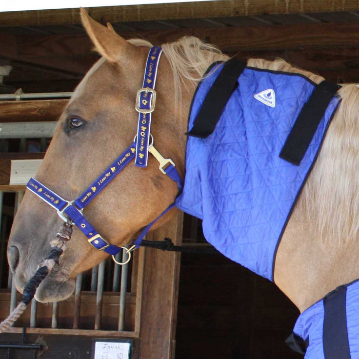 HyperKewl Horse Neck Cooler, Medium - Jeffers - Horse Supplies > Horse Blankets & Sheets