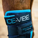 Ice - Vibe Hock Wrap, Black/Aqua - Jeffers - Horse Supplies > Horse Boots & Leg Wraps