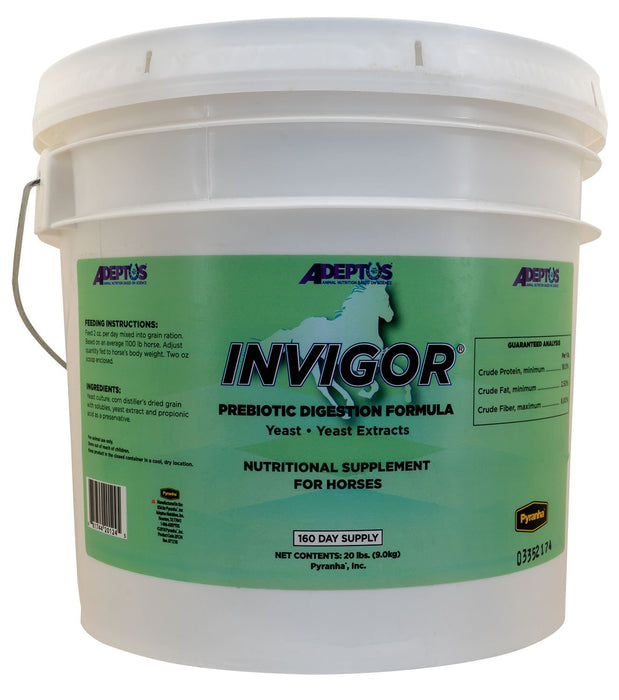 Invigor Prebiotic Digestion Formula - Jeffers - Animal Health & Wellness > Vitamins & Supplements