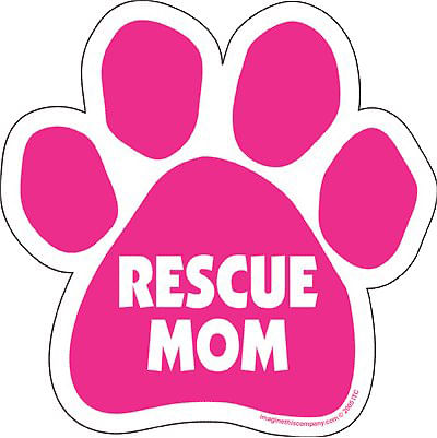 PAW Magnets, each - My Kids Have 4 PAWS  