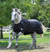 Jeffers 1680D Supreme Plus Medium Weight Turnout Blanket - Jeffers - Horse Supplies > Horse Blankets & Sheets