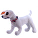 Jeffers 1'W Adjustable Reflective Collar (16' - 26'L) - Jeffers - Dog Supplies > Dog Apparel > Dog Collars, Harnesses, & Leashes