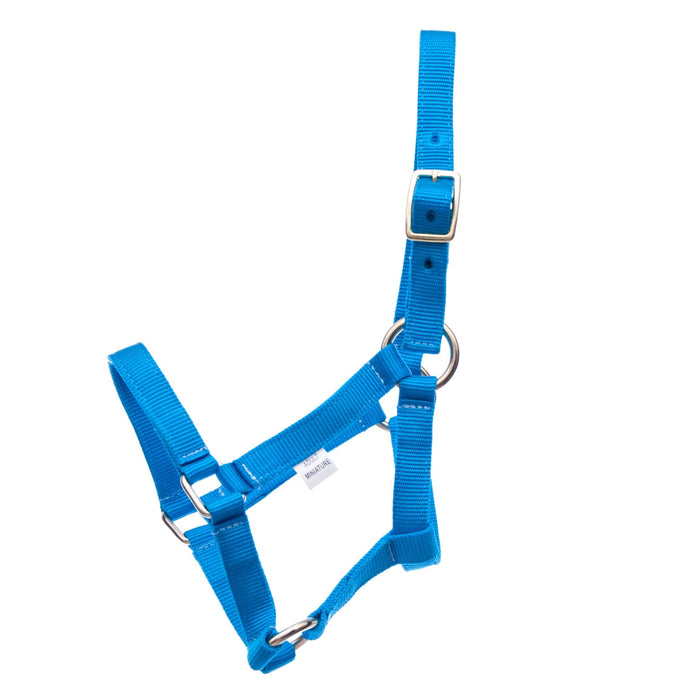 Jeffers Adult Miniature Nylon Horse Halter (under 300 lb) - Jeffers - Horse Supplies > Horse Tack > Horse Halters