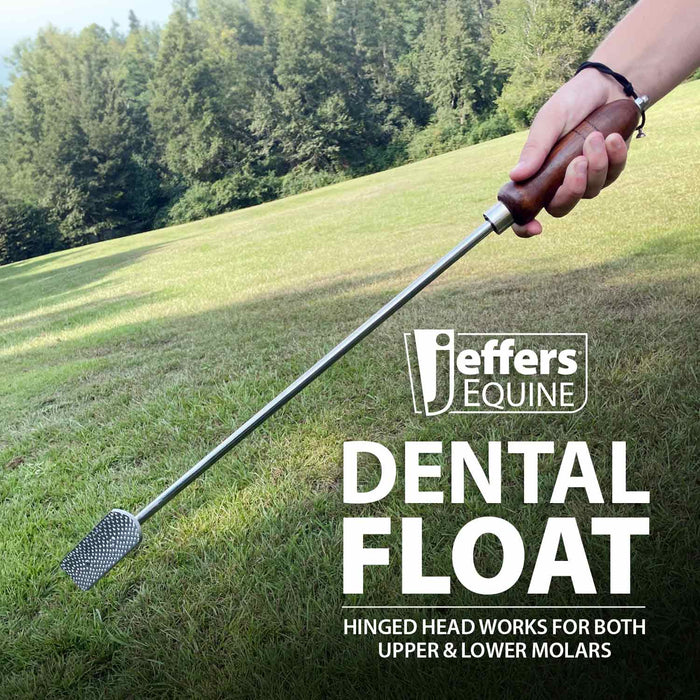 Jeffers Dental Float (& Replacement Blades) - Jeffers - Animal Health & Wellness > Oral Care