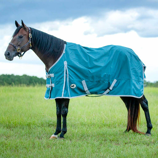 Jeffers Economy 600 Denier Standard Neck Turnout Blanket, 240 Gram - Jeffers - Horse Supplies > Horse Blankets & Sheets