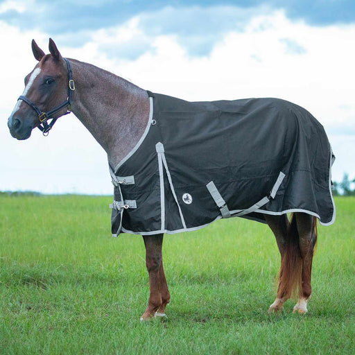 Jeffers Economy 600 Denier Standard Neck Turnout Sheet, 0 Gram - Jeffers - Horse Supplies > Horse Blankets & Sheets