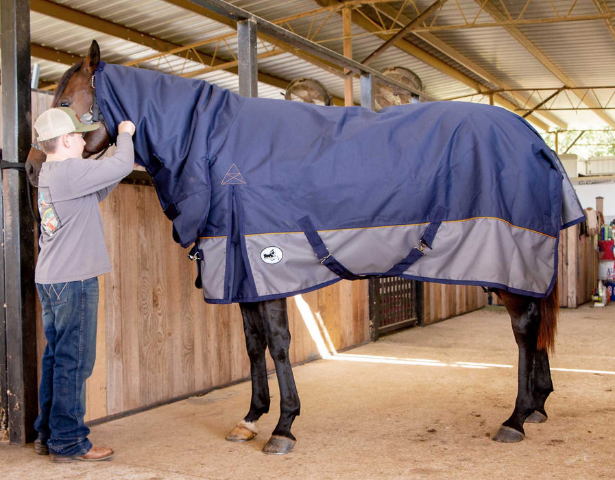 Jeffers Economy Plus Combo Neck Medium Weight Horse Turnout Blanket - Jeffers - Horse Supplies > Horse Blankets & Sheets