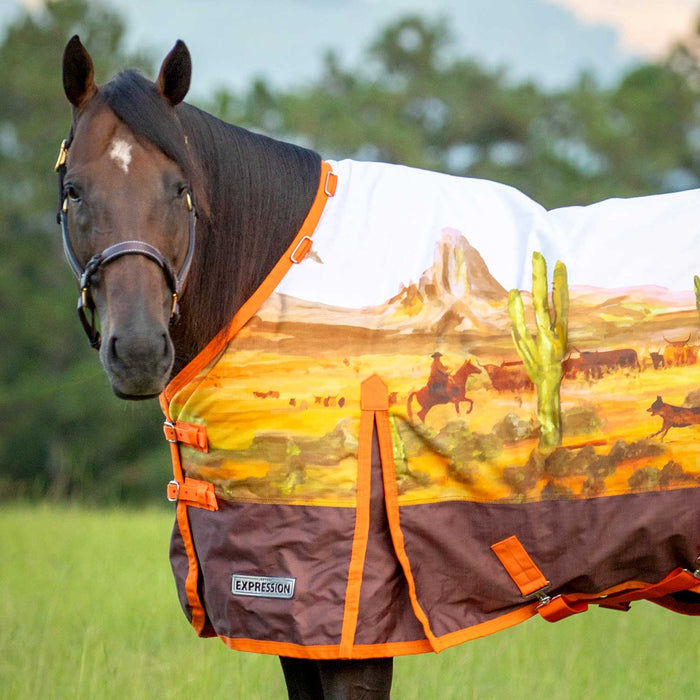 Jeffers Expression 1200 Denier Standard Neck Turnout Blanket, 240 Gram, Cattle Drive - Jeffers - Horse Supplies > Horse Blankets & Sheets