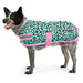 Jeffers Expression Dog Coat, Party Cheetah - Jeffers - Dog Supplies > Dog Apparel