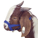 Jeffers Large Goat Halter - Jeffers - Goat Supplies > Goat Supplies