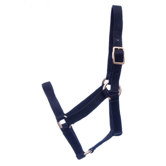 Jeffers Mini Horse Nylon Halter - Jeffers - Horse Supplies > Horse Tack > Horse Halters