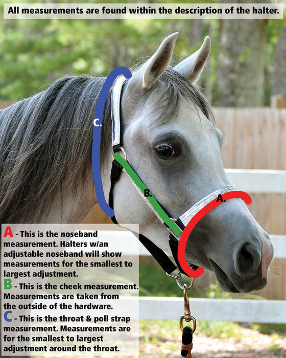 Jeffers Miniature Yearling (under 100 lb) Nylon Halter - Jeffers - Horse Supplies > Horse Tack > Horse Halters